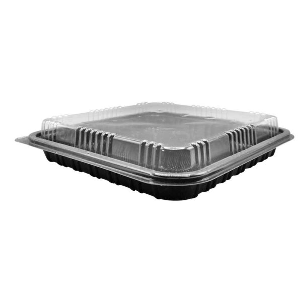 TS-001 | APET τετράγωνο μαύρο σκεύος 170x170x20mm