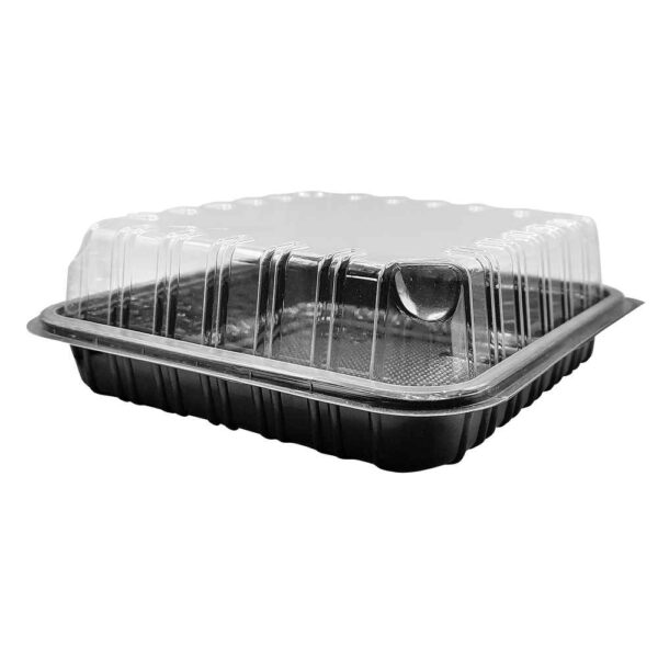 TS-002 | APET τετράγωνο μαύρο σκεύος 170x170x30mm