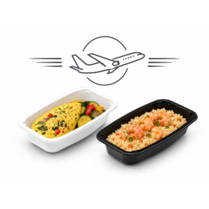 Airlines Meals